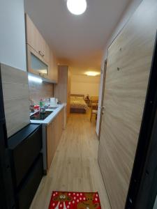 Kuchyň nebo kuchyňský kout v ubytování Apartman SANJALICA Divčibare