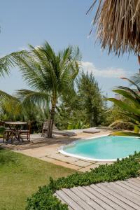 a swimming pool with a table and a palm tree at Villa Mango in Icaraí