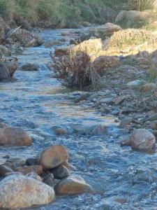 a river with rocks and grass on the side at Chalet Vella 