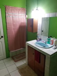 a bathroom with a sink and a shower at Mandy's Homestay in Couva