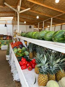 una exposición de frutas y hortalizas en estanterías de una tienda en Oceanview Condo - Club Cerralvo, en El Sargento