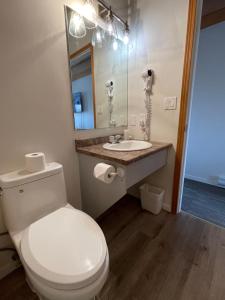 a bathroom with a white toilet and a sink at Bear's Claw Lodge in Cache Creek