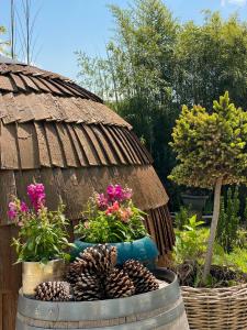 a garden with flowers and plants in a barrel at Tiny House Igluhut in Hergensweiler