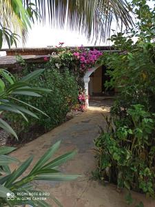 un chemin menant à un bâtiment avec des fleurs et des plantes dans l'établissement Chez John et Élisa, à Ndangane