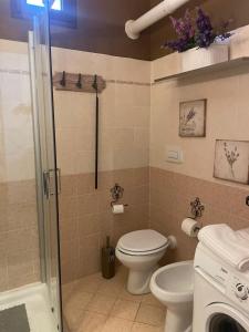 La salle de bains est pourvue de toilettes, d'un lavabo et d'une douche. dans l'établissement La casa nel borgo, à Forlì del Sannio