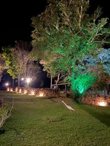 un árbol verde en un parque por la noche en Rancho Bonanza Piri, en Pirenópolis