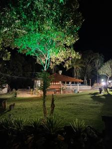 uma árvore verde num parque à noite em Rancho Bonanza Piri em Pirenópolis