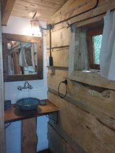 baño con lavabo y pared de madera en Posada Boutique- Casa de Campo Arroyo Huirihuiri en Aluminé