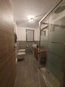 a bathroom with a shower and a toilet and a sink at La ciöda Malenca in Cave dʼArdesia