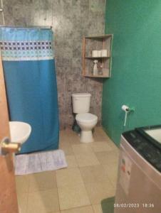 a bathroom with a toilet and a blue shower curtain at Cabañas Don Esteban in Tortel