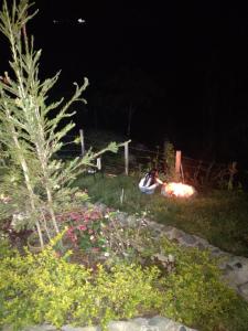 a person sitting by a fire in a yard at night at Hotel Kira in Jericó