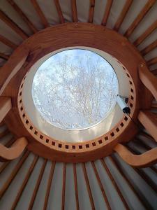 una ventana redonda en un techo de madera con un árbol en Jurta Na Skraju Lasu, 