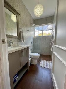 a bathroom with a toilet and a sink and a mirror at Airb nb private rooms close to the airport Juan Santa María in Alajuela City