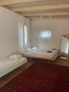 a bedroom with two beds and a red rug at Your Cozy City Bungalow in Baden