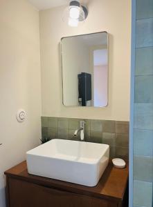 a bathroom with a white sink and a mirror at la madrague des 2 caps in Audembert