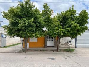 zwei vor einem Gebäude stehende Bäume in der Unterkunft Departamento Fatima in Villa Dolores