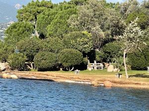 ポルト・ヴェッキオにあるMaranatha Résidence avec plage privée, piscine chaufféeの木の群れ水