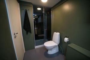 a bathroom with a white toilet in a green room at Vestre Murallmenningen in Bergen