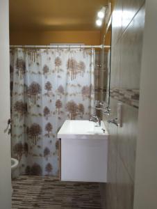 baño con lavabo y cortina de ducha en Casa Inti Quiya II en Merlo