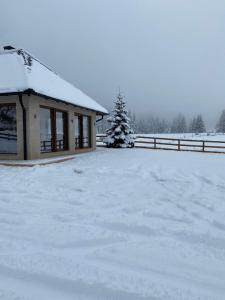 ein schneebedecktes Haus mit einem schneebedeckten Hof in der Unterkunft Vikendica Krlic in Mitrovac