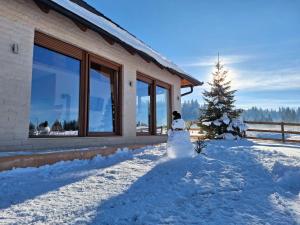a snowman in front of a house with a christmas tree at Vikendica Krlic in Mitrovac
