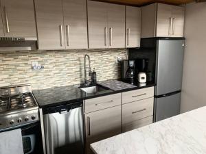 a kitchen with stainless steel appliances and white cabinets at Lincoln Park Light-Filled Loft in Chicago
