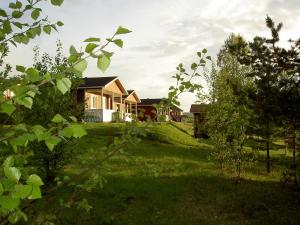 a house on a hill with a green yard at Lomamaja Pekonen Apartments in Muonio