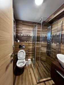 a bathroom with a toilet and a sink at Brvnara Pogled Zlatara in Nova Varoš