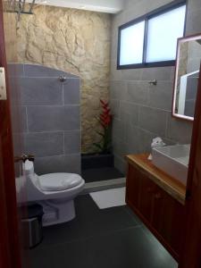een badkamer met een toilet, een wastafel en een douche bij The Fruit Tree Garden Bromeliad Suite in Nuevo Arenal