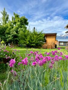 un campo de flores púrpuras en un patio en Siempre Verde, en Puerto Tranquilo