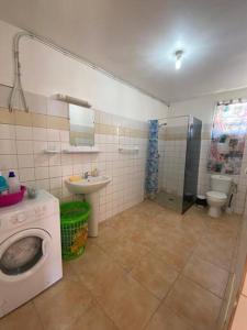 een badkamer met een wasmachine en een wastafel bij La maison du plateau in Vieux-Habitants