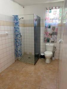 een badkamer met een douche en een toilet bij La maison du plateau in Vieux-Habitants
