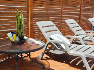 2 sillas y una mesa con una planta en el patio en habitaciones con piscina en tinguiririca san fernando, en San Fernando
