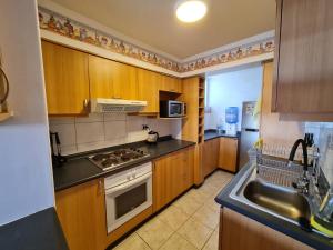 a kitchen with wooden cabinets and a sink at Reñaca-Cochoa Vista Mar-3D -funicular directo playa in Viña del Mar