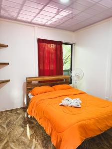 Gallery image of Casitas Coloradas Puerto Viejo in Puerto Viejo +27 photos