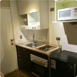 聖地亞哥的住宿－Suit vista despejada，一间带水槽和微波炉的小厨房