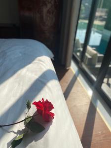 a red rose sitting on the edge of a bed at Cao Son Hotel in Bắc Quang