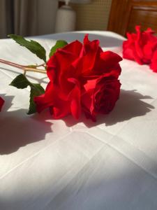 uma rosa vermelha sentada em cima de uma mesa branca em Cao Son Hotel em Bắc Quang