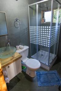 W łazience znajduje się prysznic, toaleta i umywalka. w obiekcie Lodge Terra Mar w mieście Pichilemu