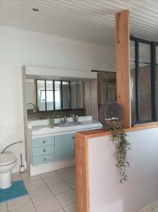 梅里尼亞克的住宿－Chambre cosy et salle d'eau dans maison Mérignac Arlac，一间带水槽和卫生间的浴室