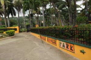 Taman di luar Aileen Palm Cove Ja