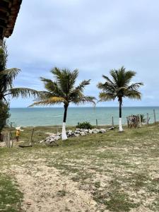 zwei Palmen am Strand in der Nähe des Ozeans in der Unterkunft Casa de frente para o mar, pé na areia! in Rio do Fogo