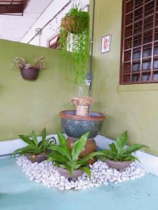 a fountain in the corner of a building with plants at Syukur Homestay Ipoh in Ipoh