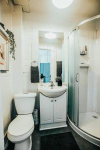 ein Bad mit einem WC, einem Waschbecken und einer Dusche in der Unterkunft HRésidences Cozy Heritage St André Apt Mtl in Montreal