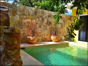 ein Pool mit drei Topfpflanzen neben einer Steinmauer in der Unterkunft Hotel Boutique Casa Hipil in Valladolid