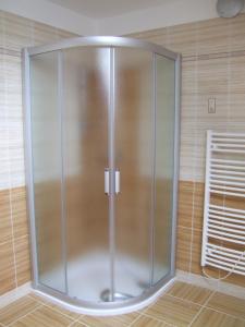 un bagno con doccia e porta in vetro di Apartment Sendraž a Sendraž