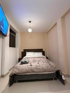 アヤクーチョにあるCastellares La Puebla Habitación y estudio en el centroのベッドルーム(ベッド1台、薄型テレビ付)