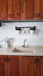 a kitchen counter with a sink and wooden cabinets at Villa Izabella in Panglao Island in Dauis