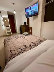 a bedroom with a bed with a tv on the wall at Castellares La Puebla Habitación y estudio en el centro in Ayacucho