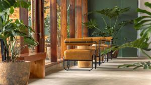 eine Reihe von Stühlen in einem Zimmer mit Pflanzen in der Unterkunft Pi Boutique Hostel in Da Lat
